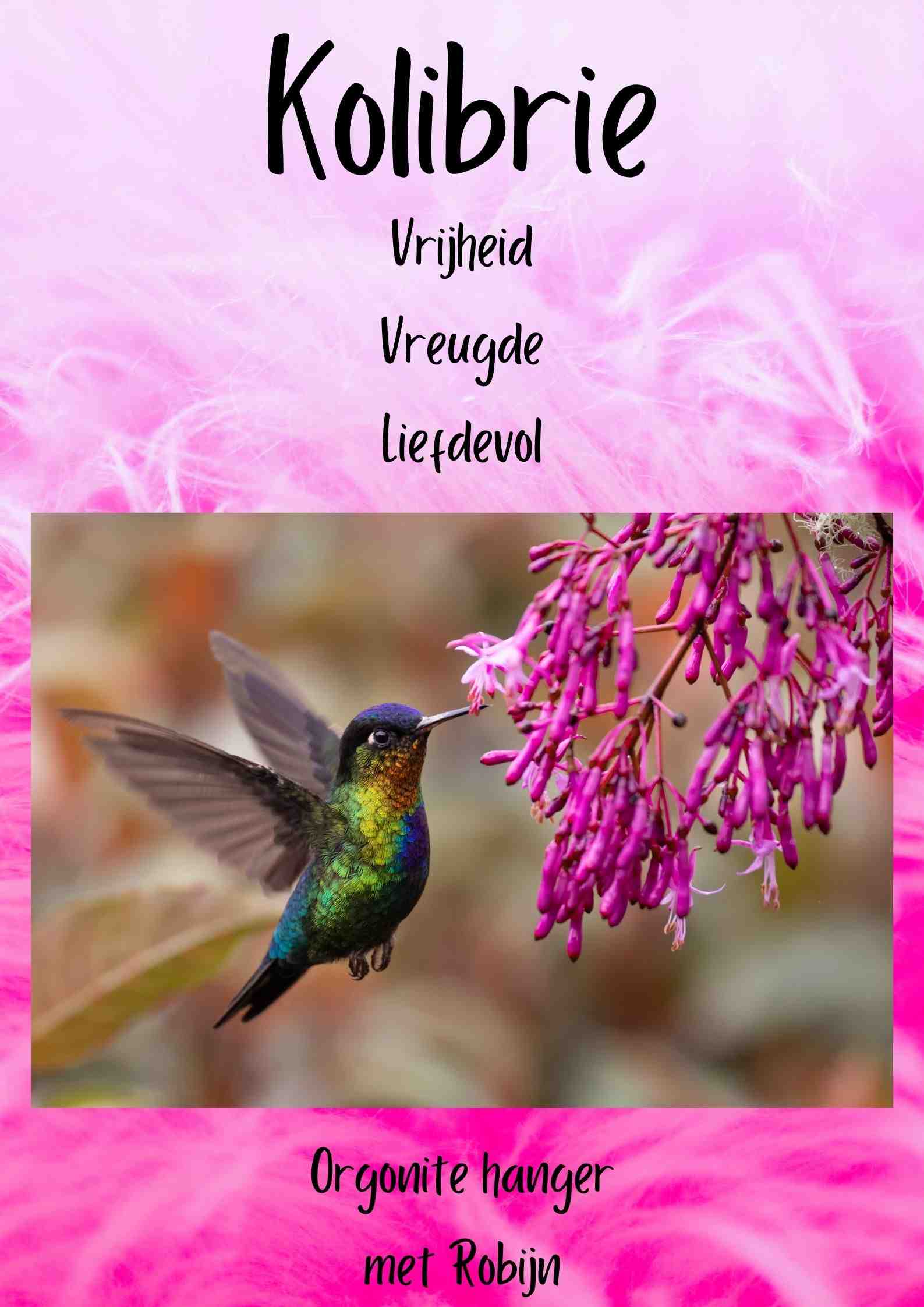 Orgonites, Sieraden, Kettingen Krachtdieren Kolibrie klein
