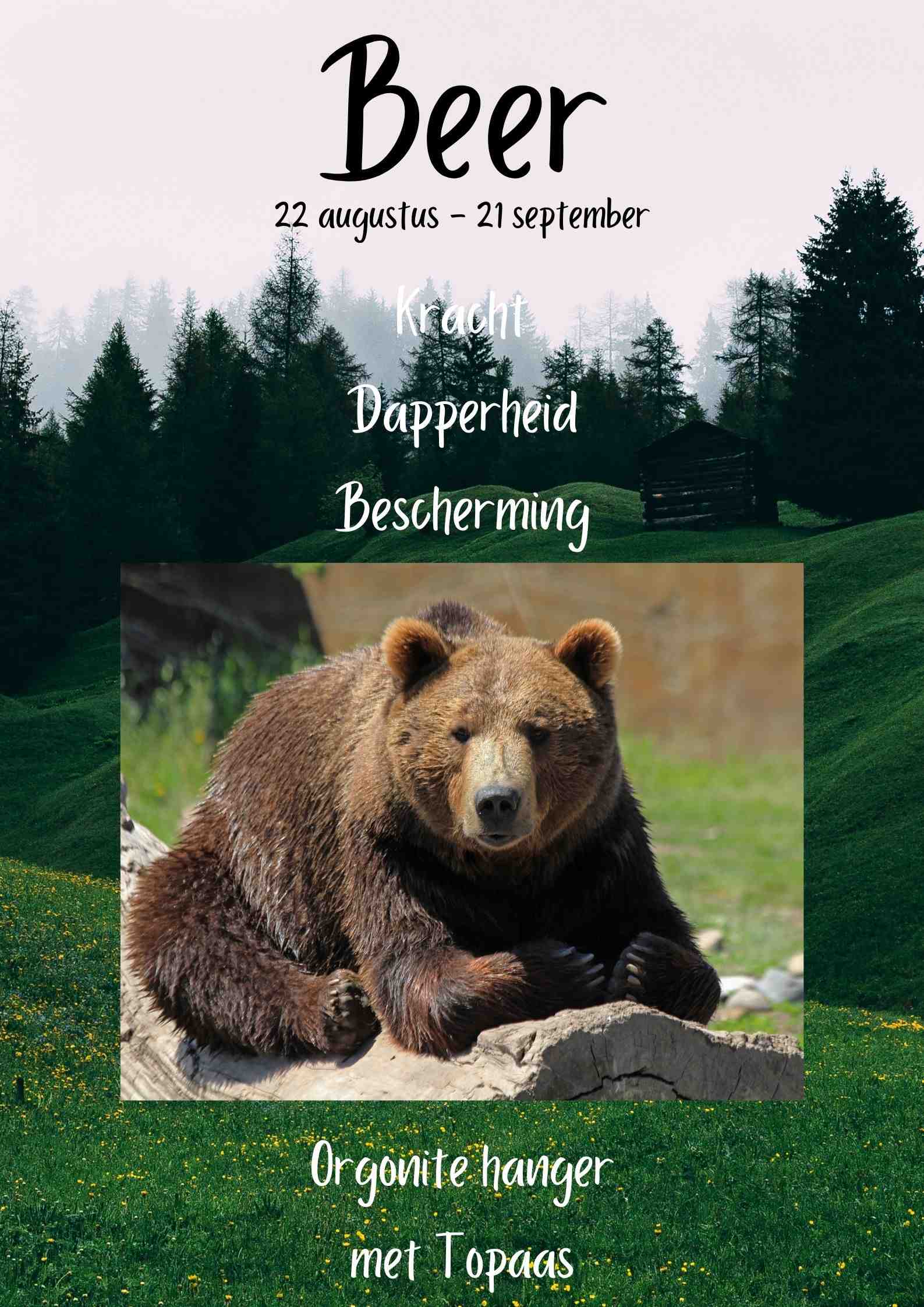 Orgonites, Sieraden, Kettingen Native American krachtdieren Beer (22 augustus - 21 september)