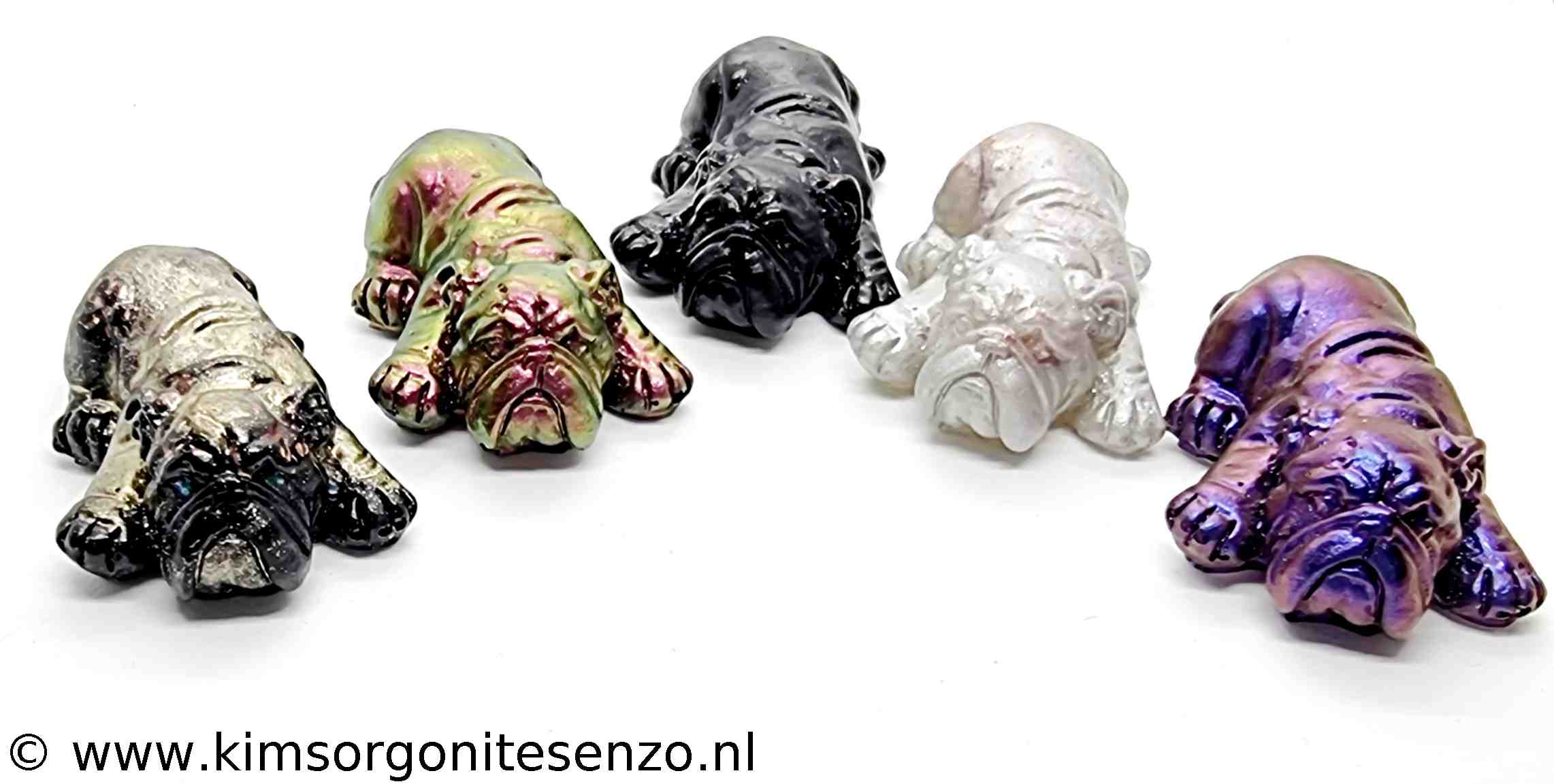 Mini Engelse Bulldog_foto0