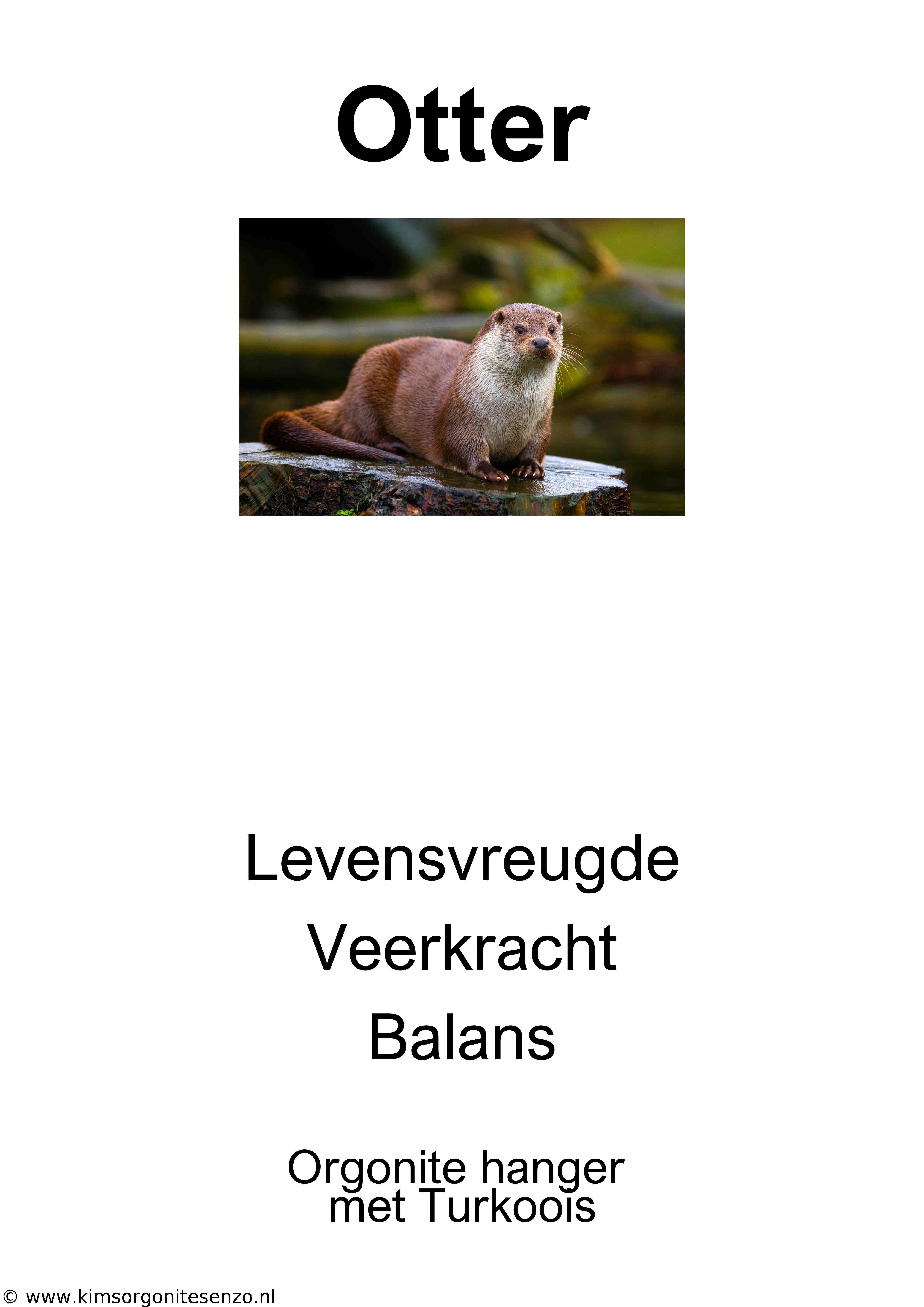 Krachtdier Kettingen 28 Otter