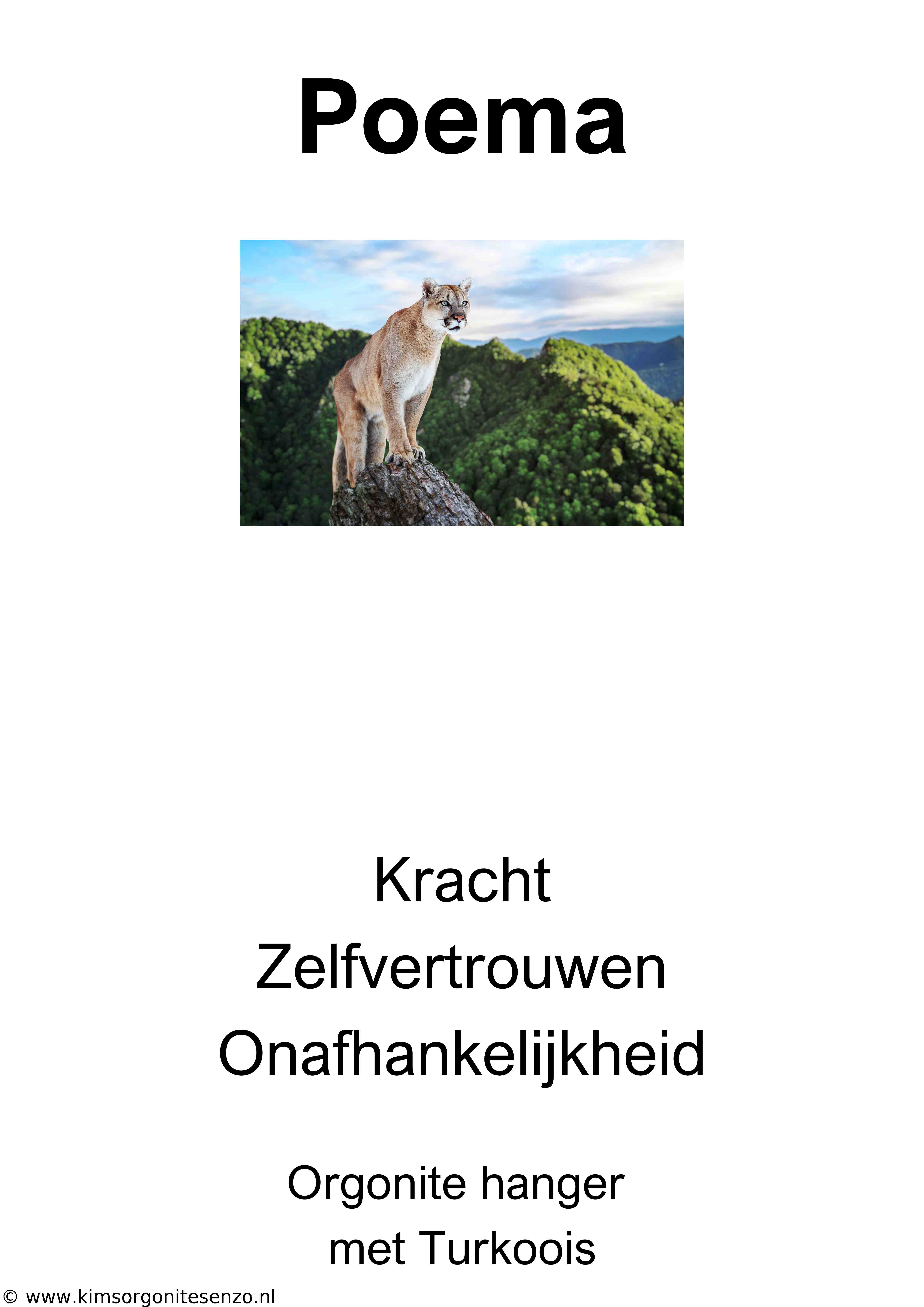 Krachtdier Kettingen 33 Poema