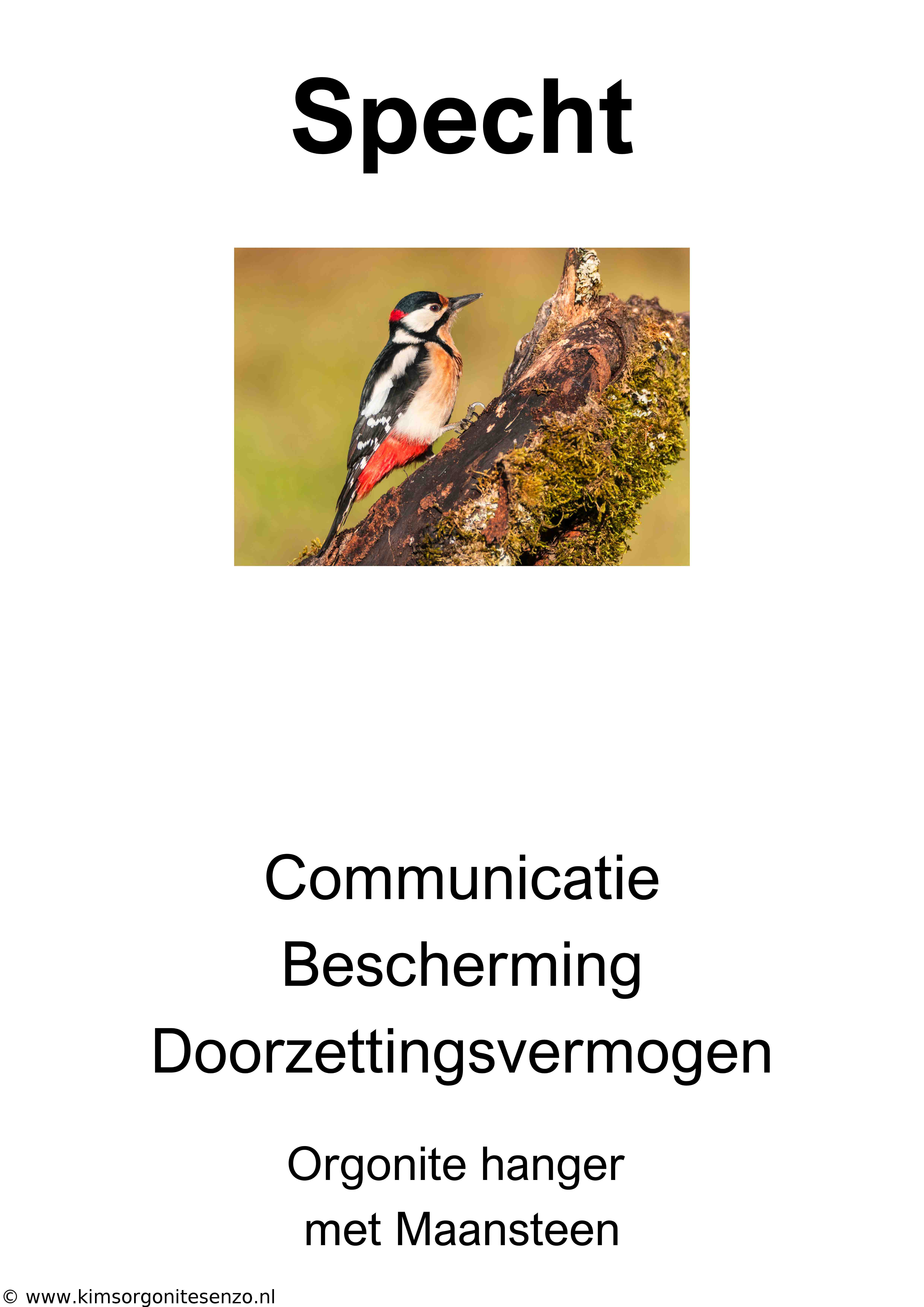Krachtdier Kettingen 37 Specht