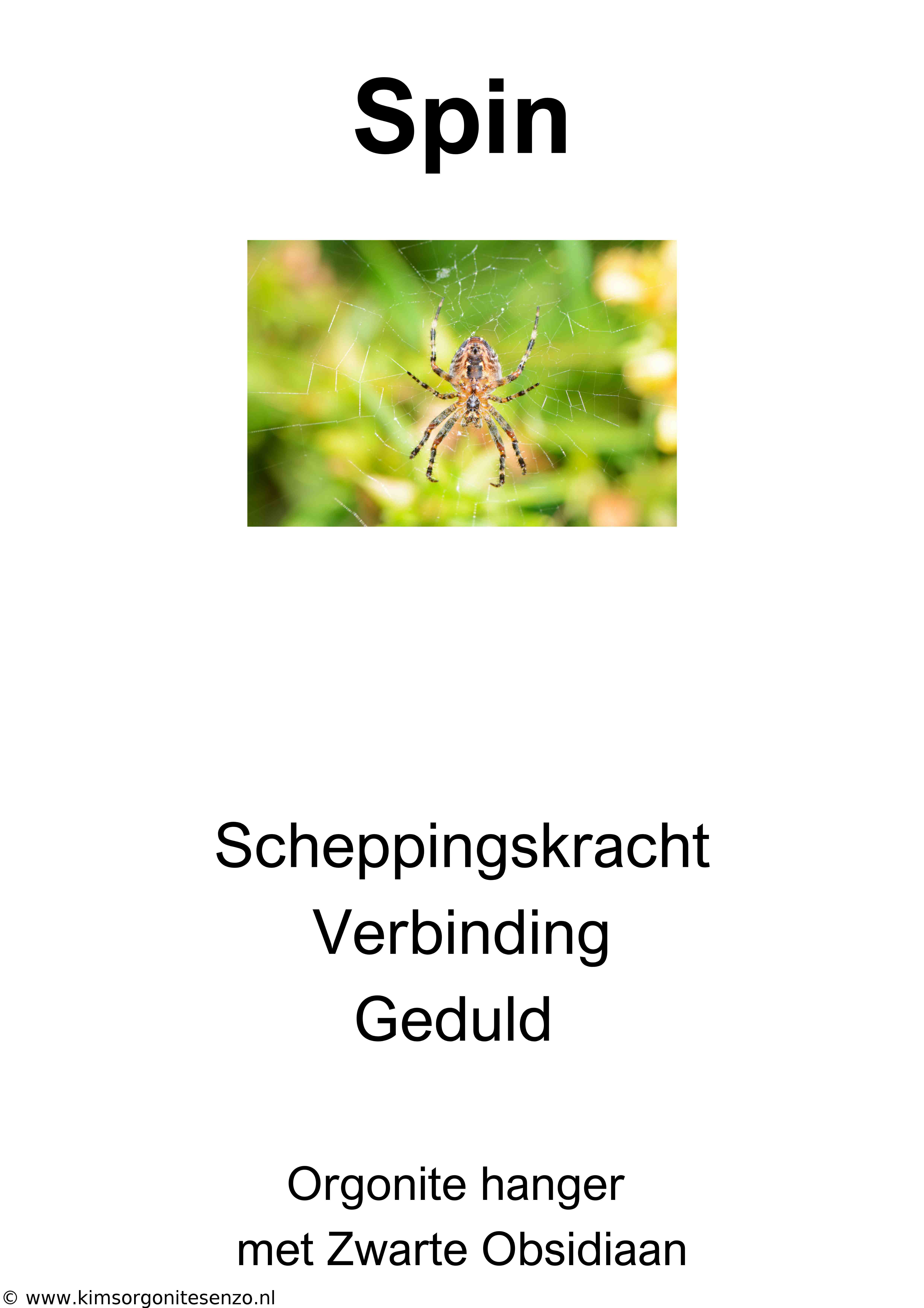 Krachtdier Kettingen 38 Spin