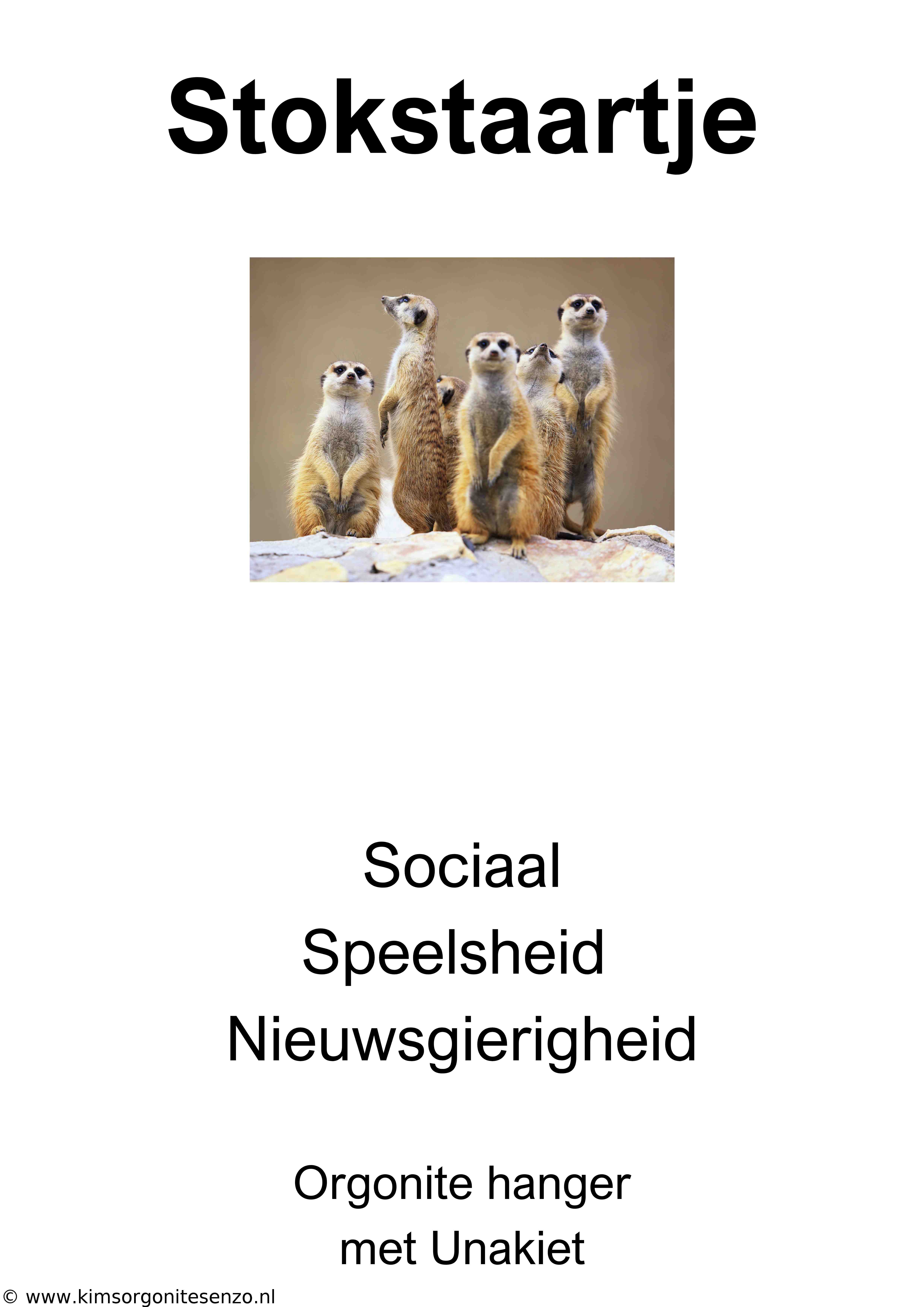 Krachtdier Kettingen 39 Stokstaartje