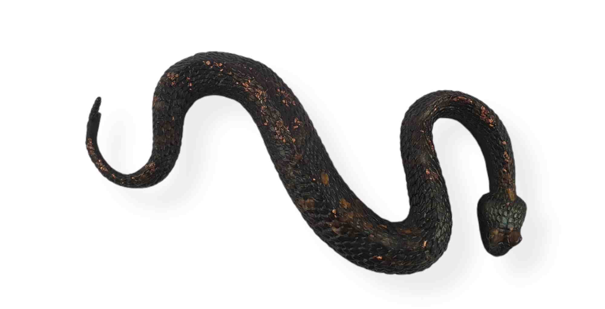 Orgonites, Overige, Slangen Zwart